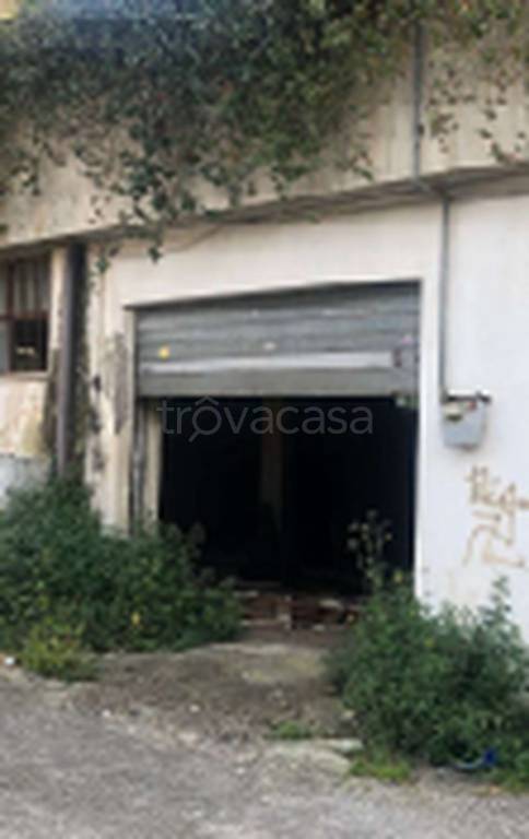 immagine annuncio 9 di 11