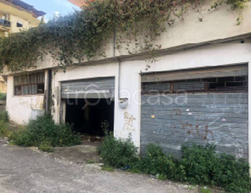 immagine annuncio 10 di 11