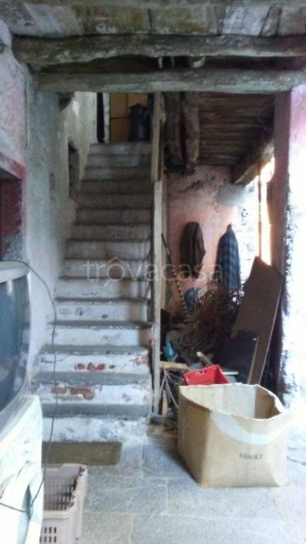 immagine annuncio 3 di 14