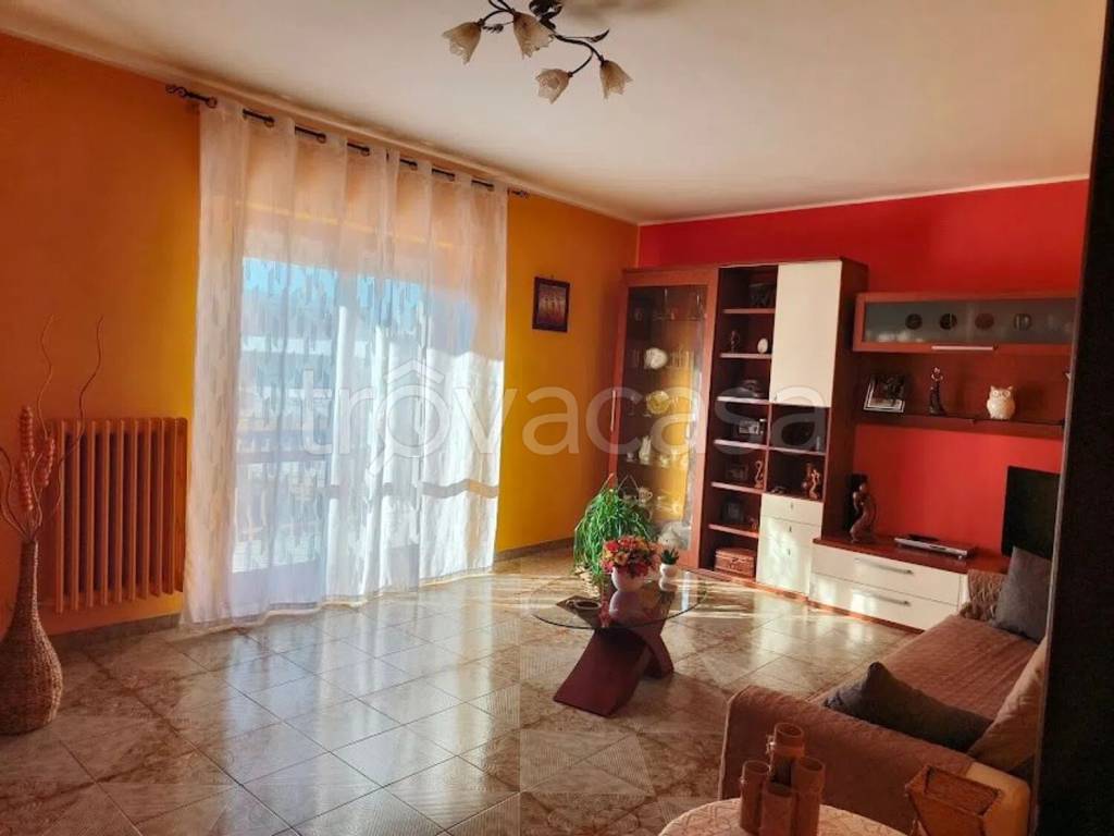 immagine annuncio 5 di 14