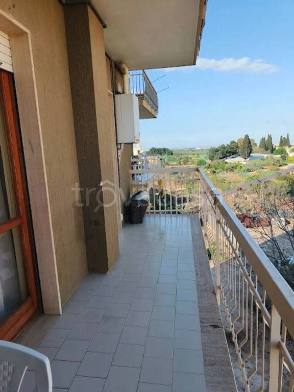 immagine annuncio 10 di 14