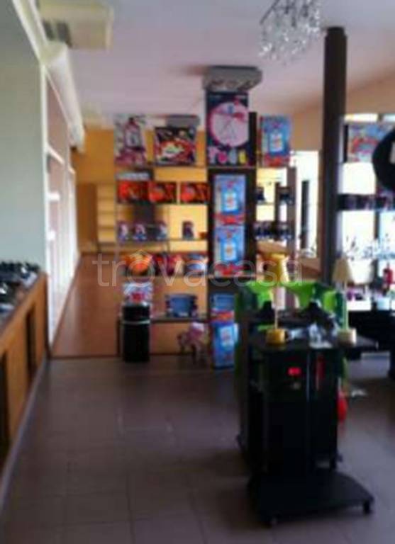 immagine annuncio 8 di 11