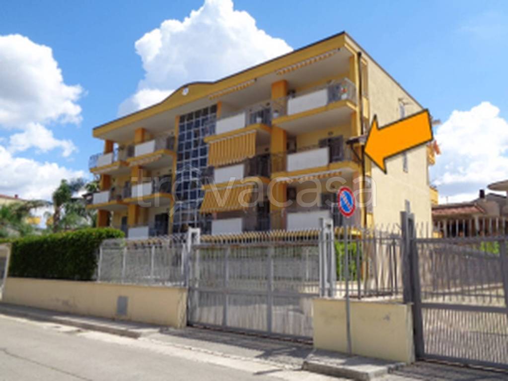 immagine annuncio 10 di 11