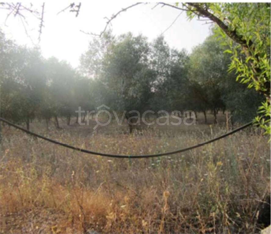 immagine annuncio 6 di 14