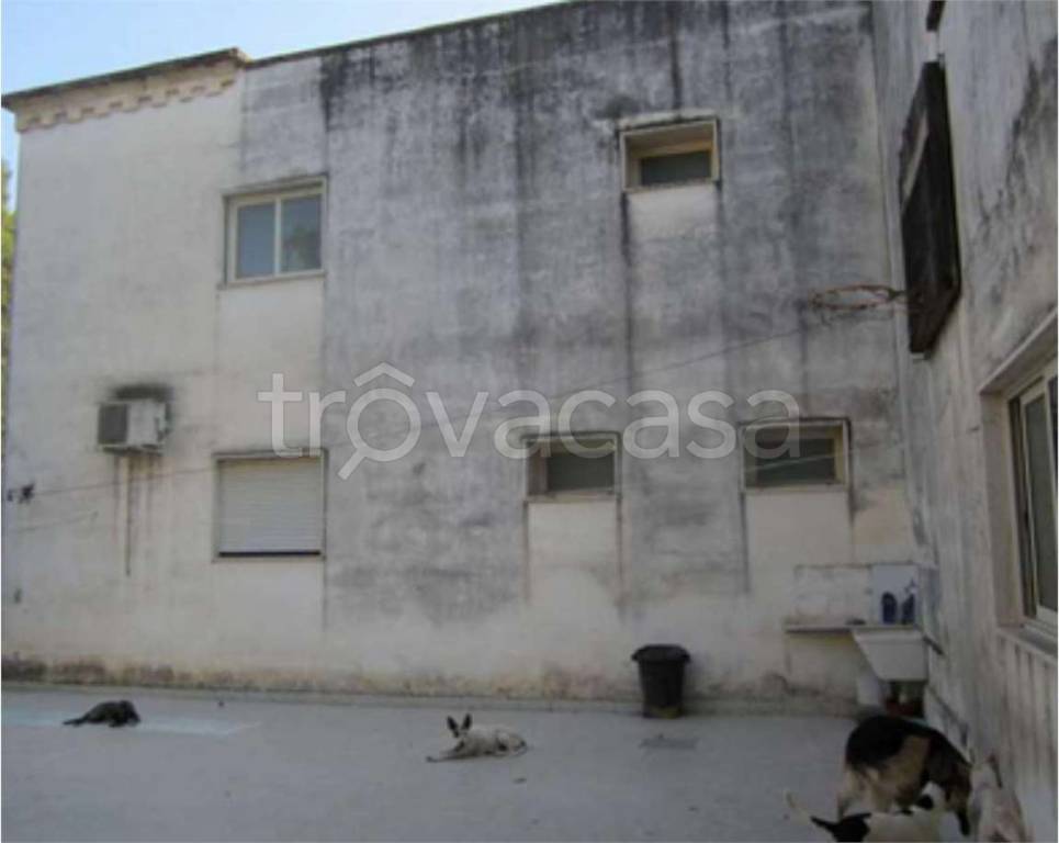 immagine annuncio 7 di 14