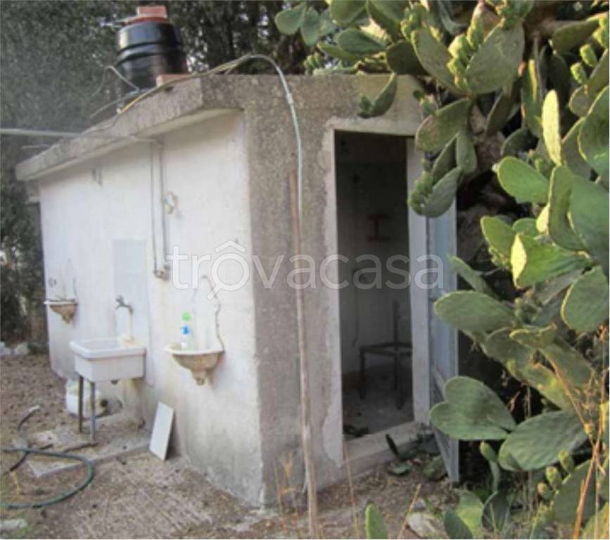 immagine annuncio 9 di 14