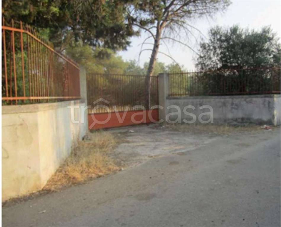 immagine annuncio 10 di 14