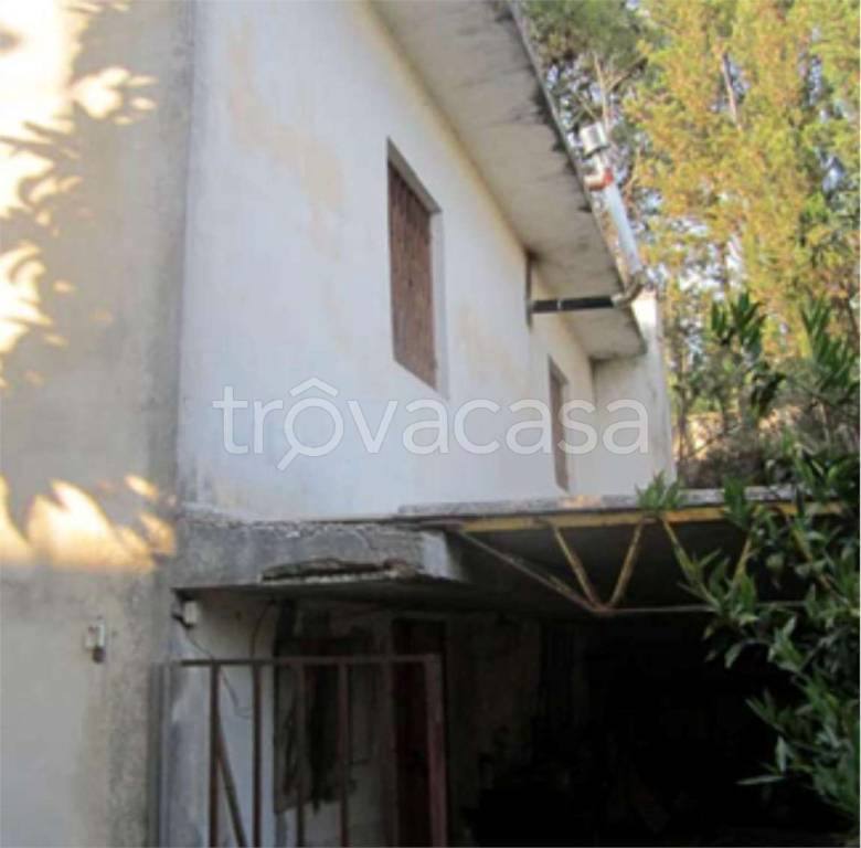 immagine annuncio 13 di 14