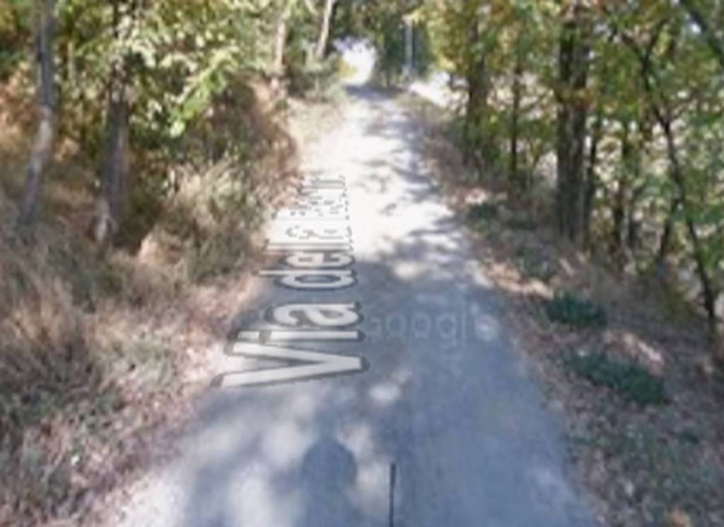 immagine annuncio 7 di 11