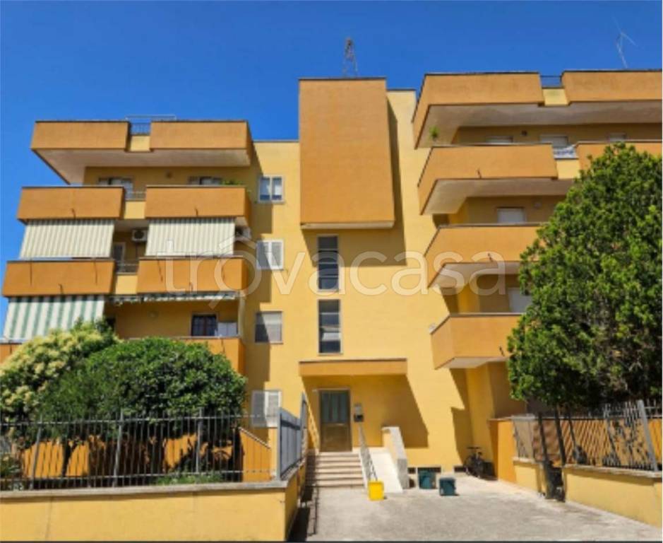 immagine annuncio 1 di 11