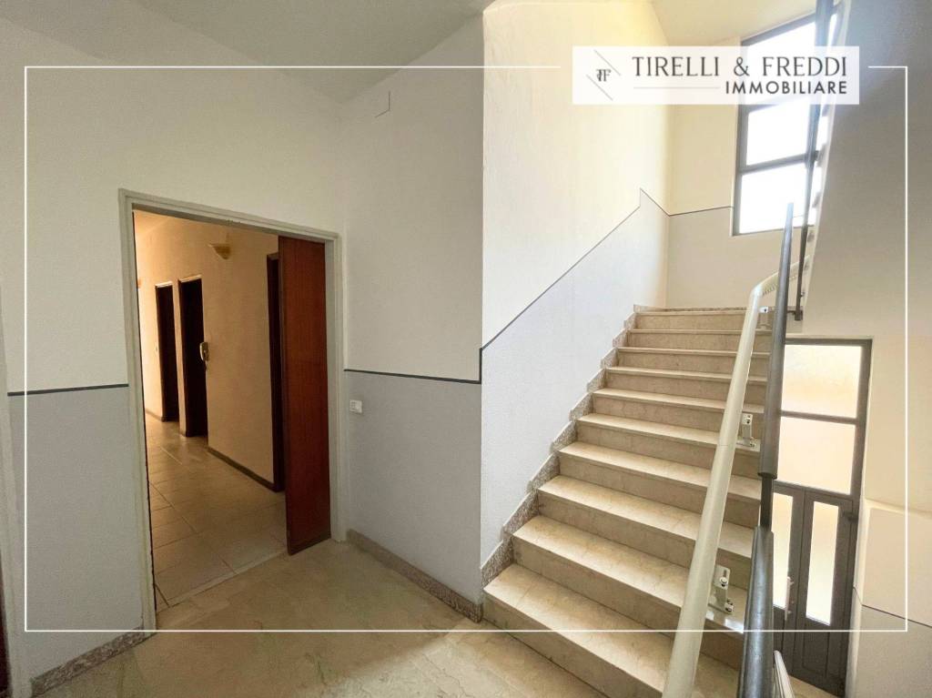 immagine annuncio 10 di 14