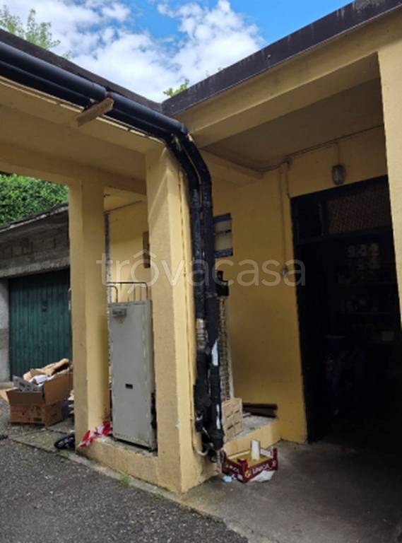 immagine annuncio 2 di 11