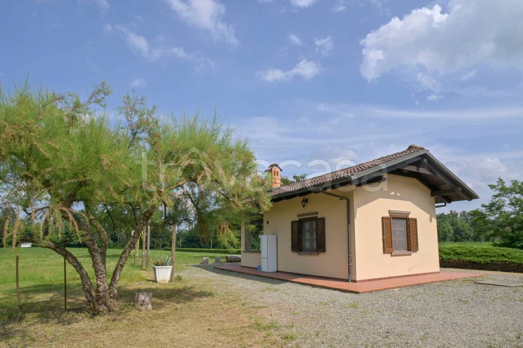 immagine annuncio 12 di 15