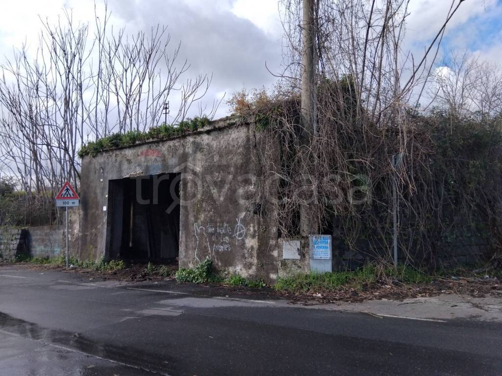 immagine annuncio 3 di 8