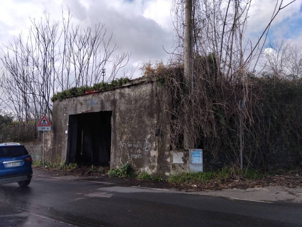 immagine annuncio 6 di 8