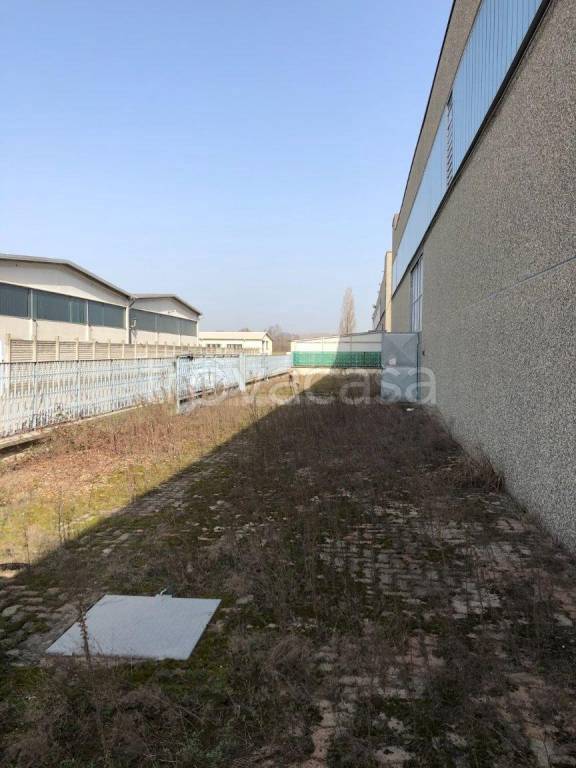 immagine annuncio 9 di 10