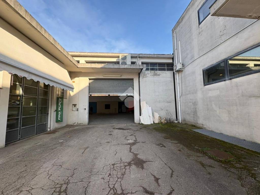 immagine annuncio 1 di 13