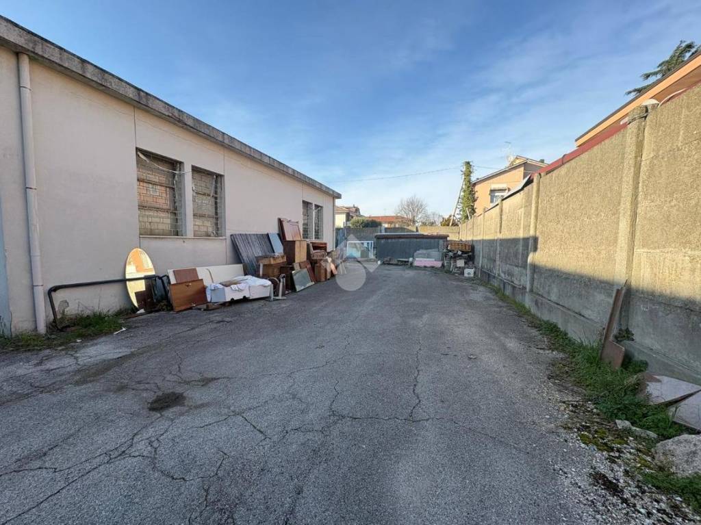 immagine annuncio 3 di 13