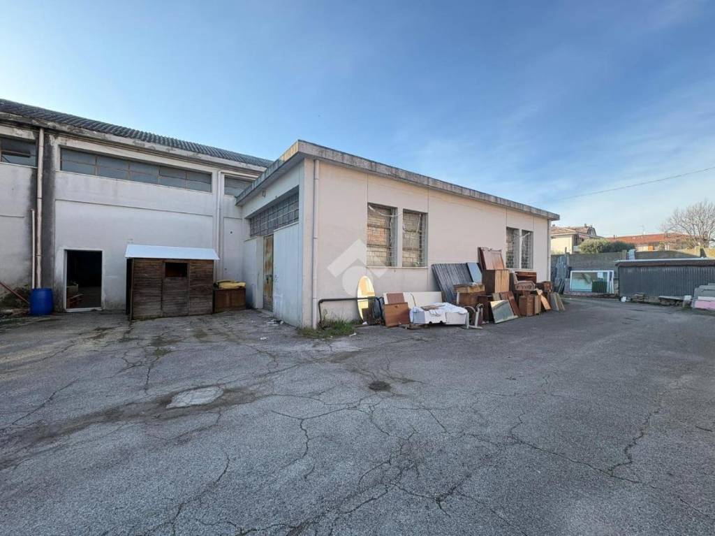 immagine annuncio 4 di 13