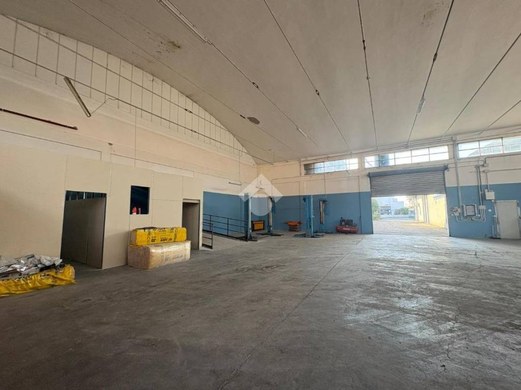 immagine annuncio 6 di 13