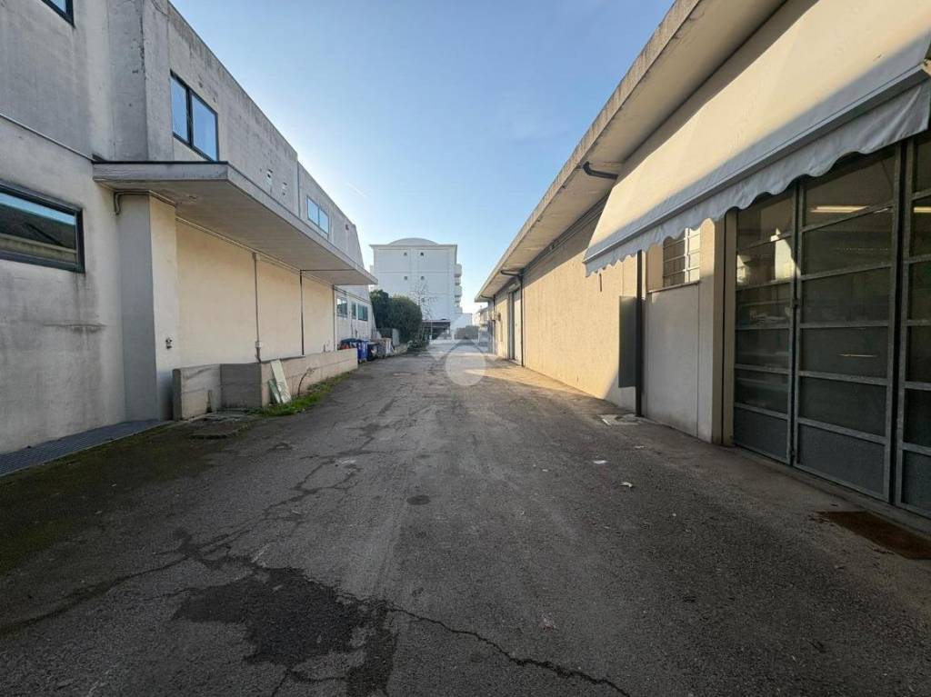 immagine annuncio 9 di 13