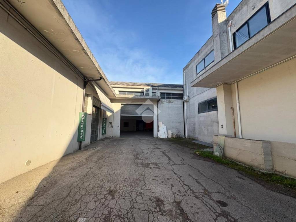 immagine annuncio 10 di 13