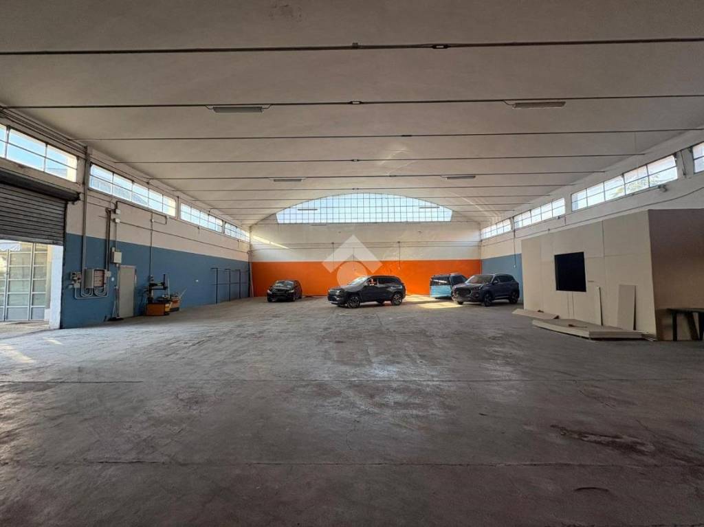 immagine annuncio 11 di 13