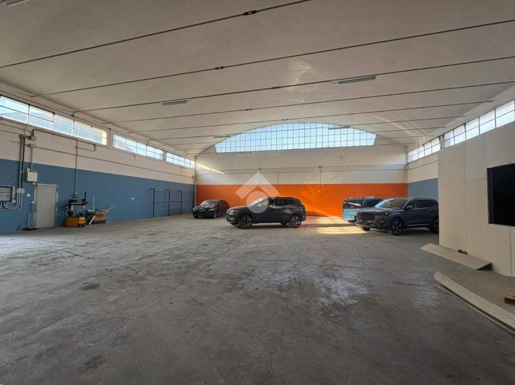 immagine annuncio 12 di 13