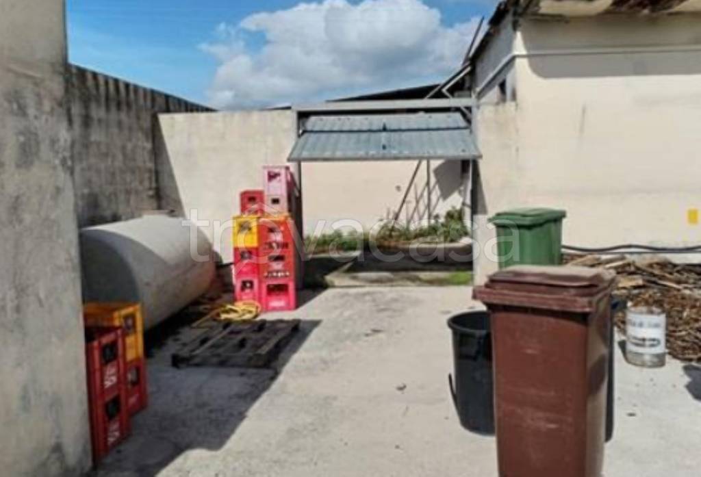 immagine annuncio 2 di 12