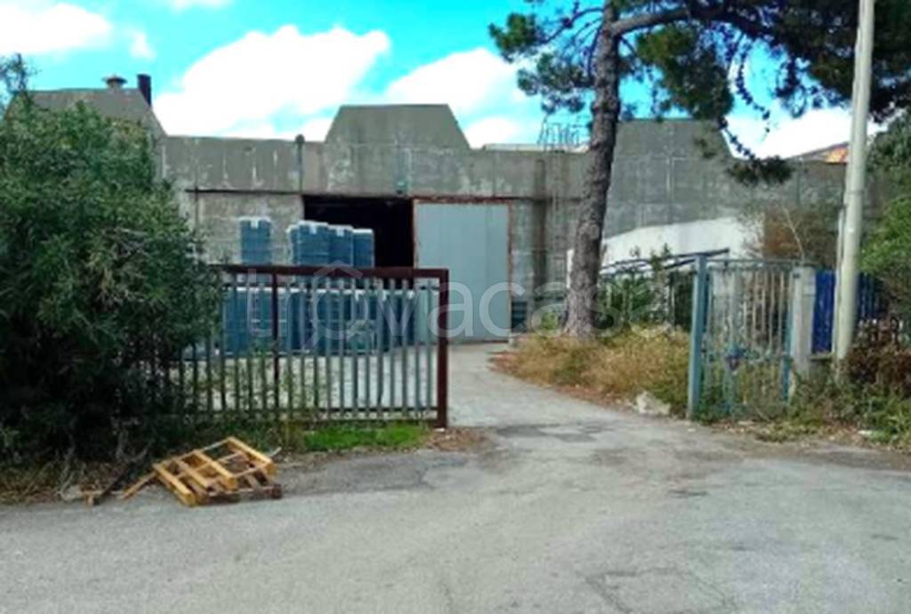 immagine annuncio 8 di 10