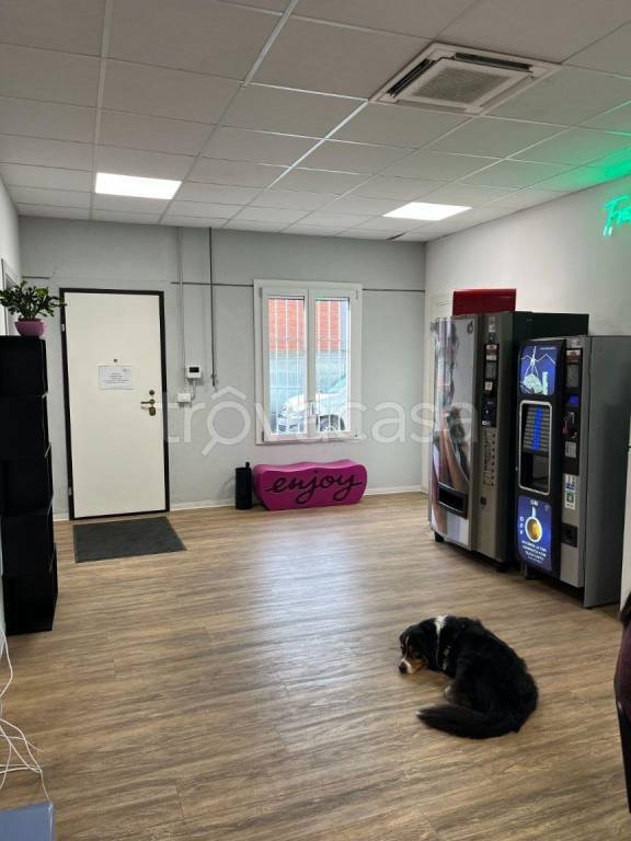 immagine annuncio 4 di 10