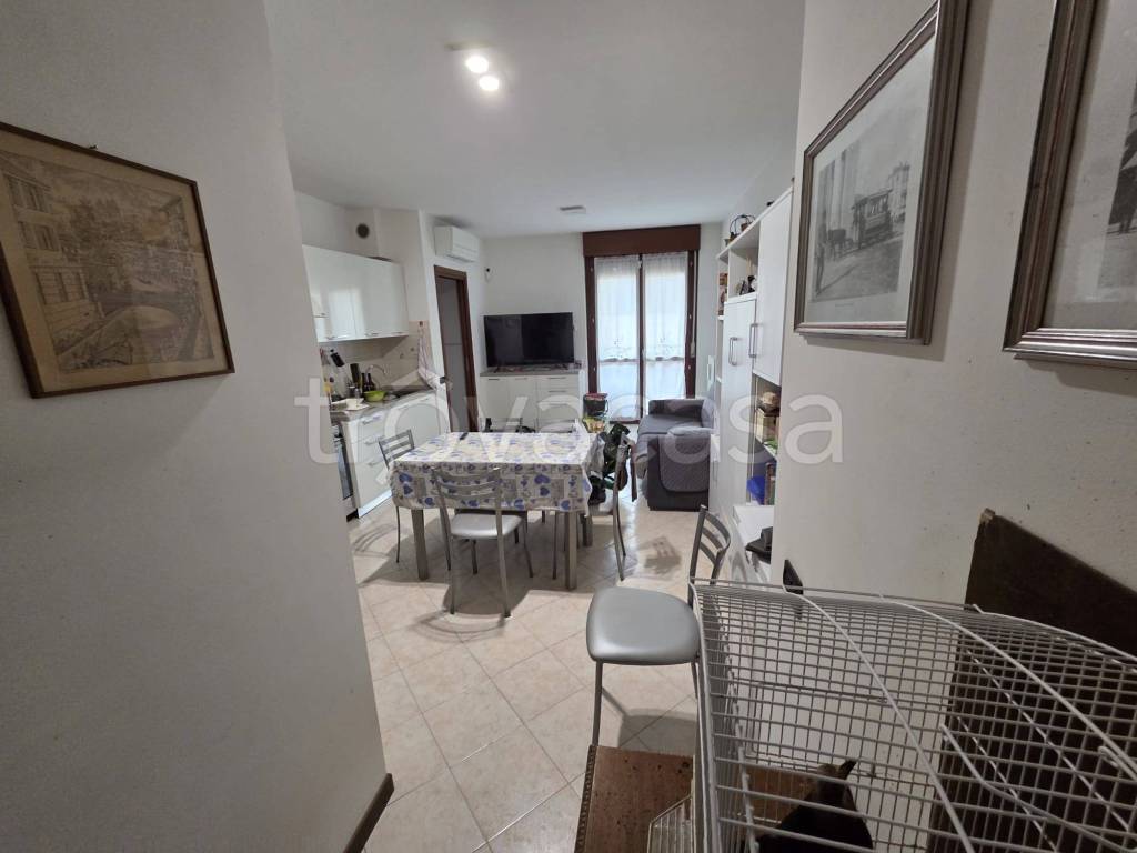 immagine annuncio 7 di 11