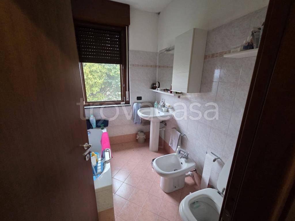 immagine annuncio 5 di 11