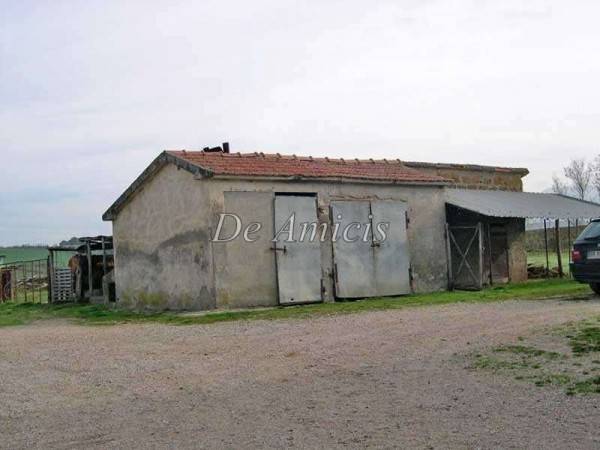 immagine annuncio 5 di 8