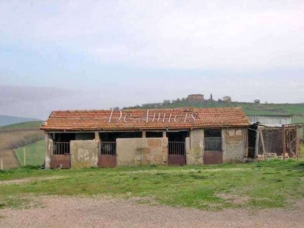 immagine annuncio 6 di 8