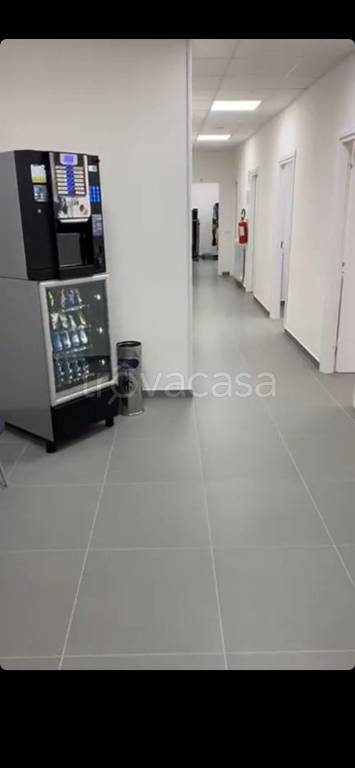 immagine annuncio 5 di 7