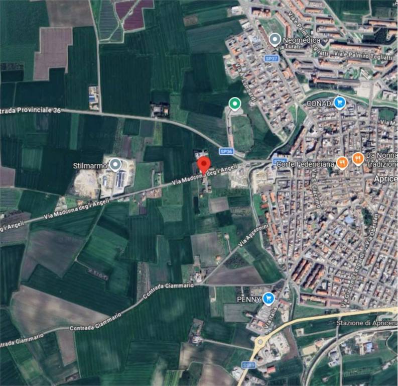 immagine annuncio 7 di 12