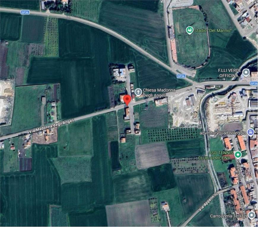 immagine annuncio 11 di 12