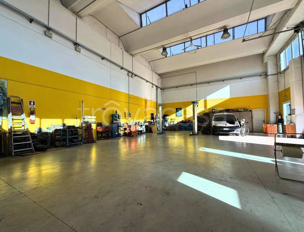 immagine annuncio 5 di 11