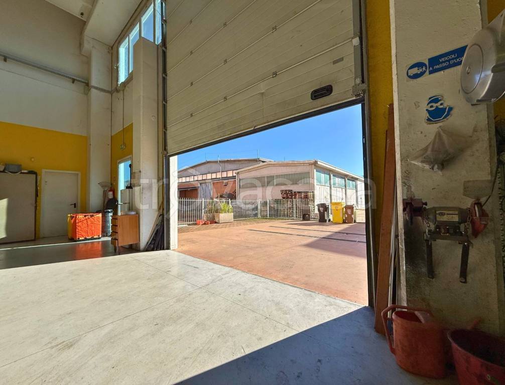 immagine annuncio 7 di 11