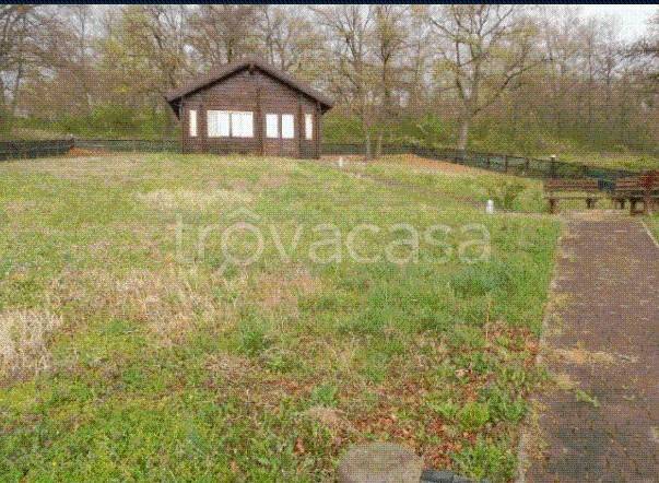 immagine annuncio 12 di 13