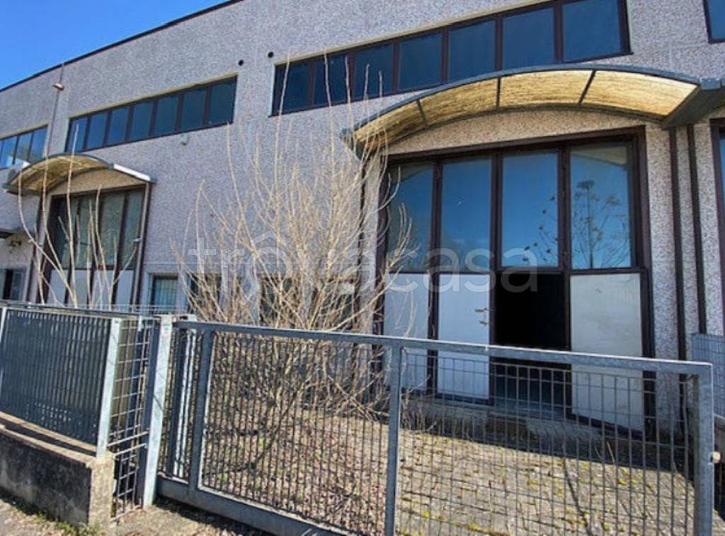 immagine annuncio 1 di 11