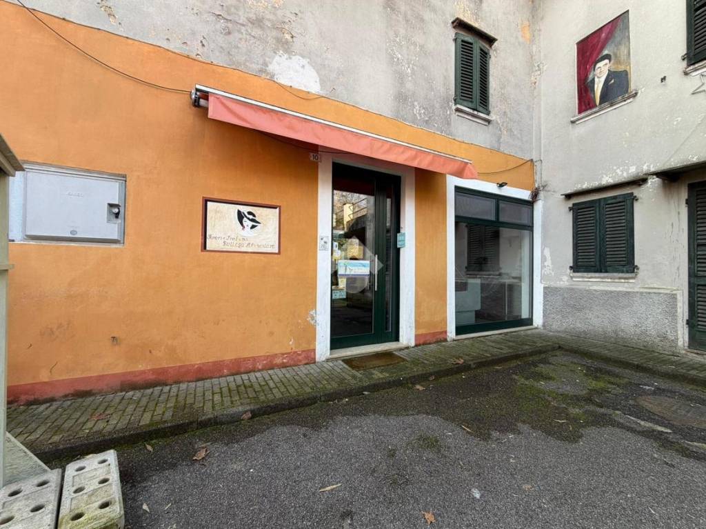 immagine annuncio 1 di 12