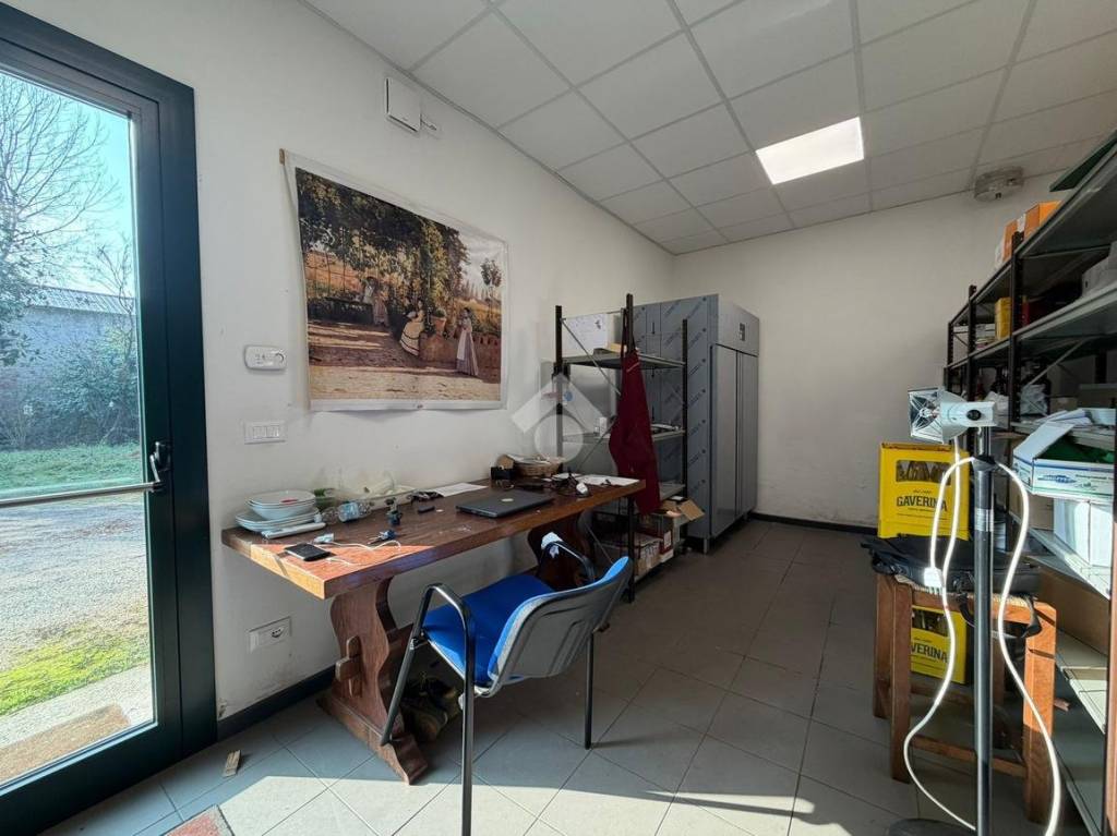 immagine annuncio 7 di 12