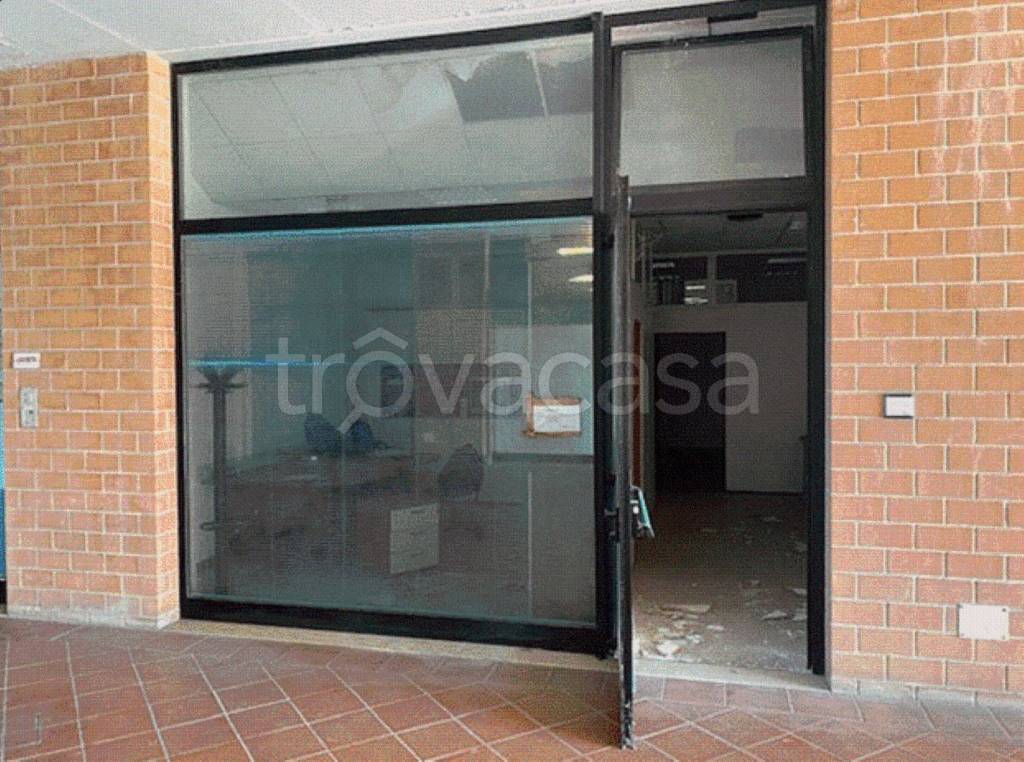 immagine annuncio 10 di 11