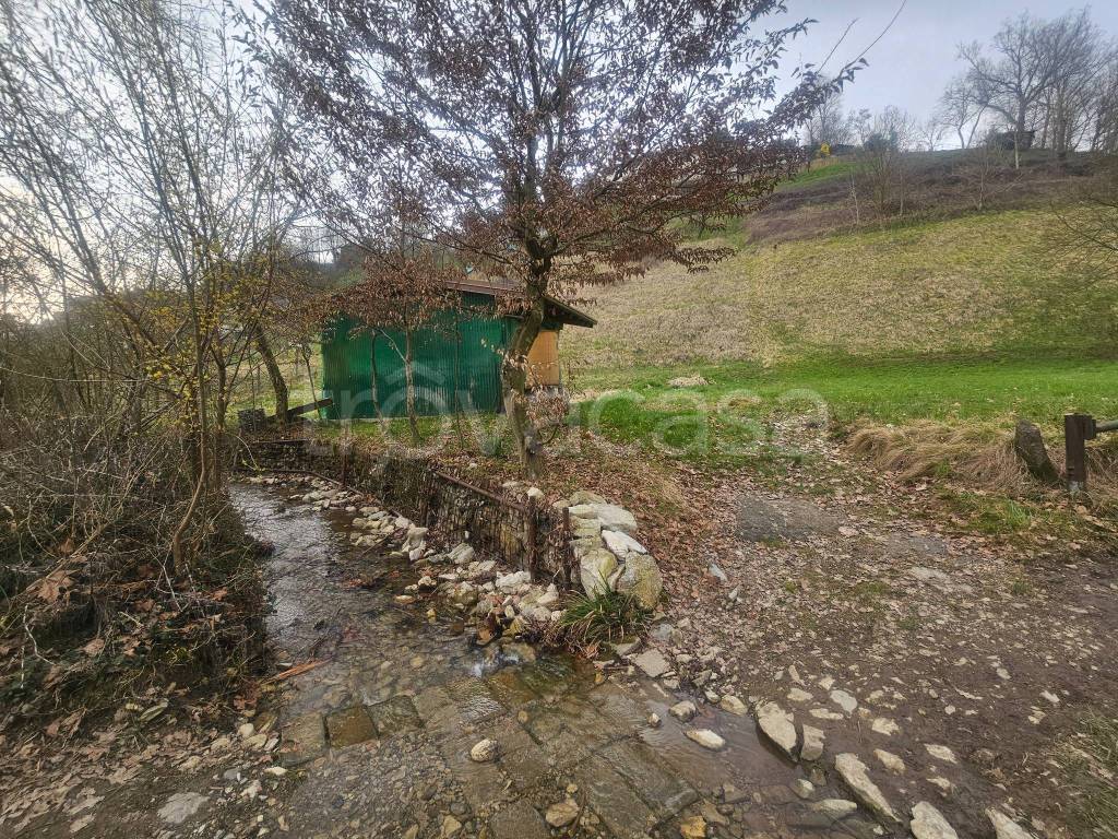 immagine annuncio 4 di 11