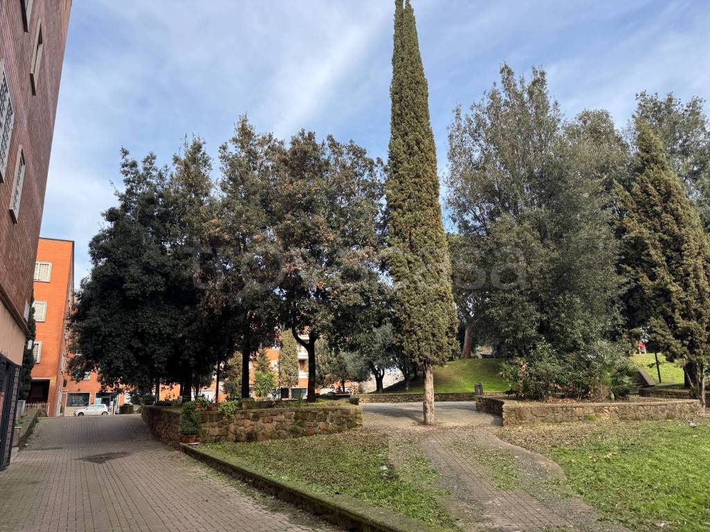 immagine annuncio 1 di 14