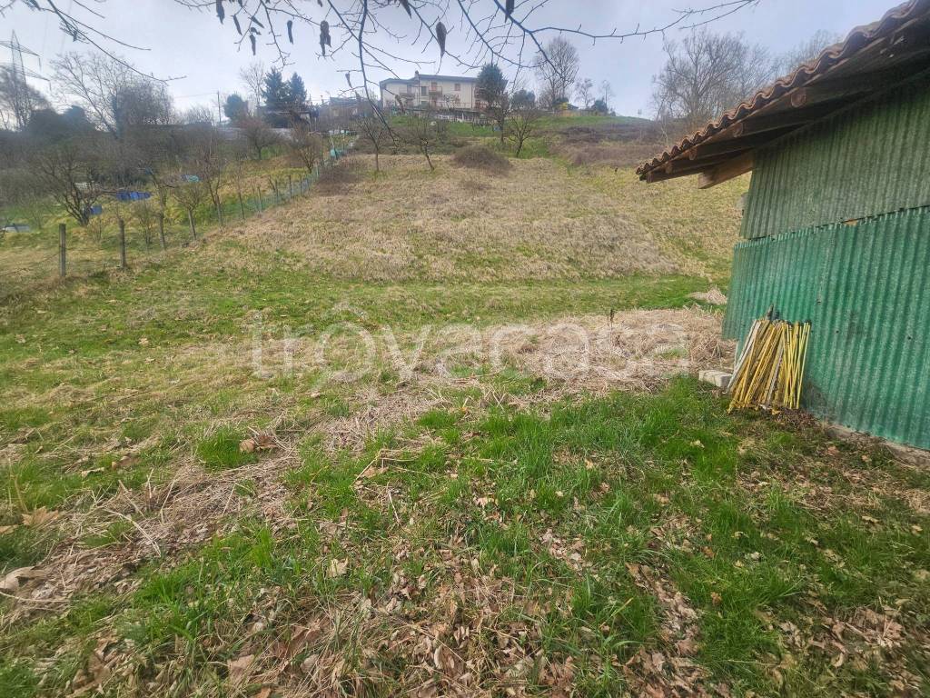 immagine annuncio 10 di 11