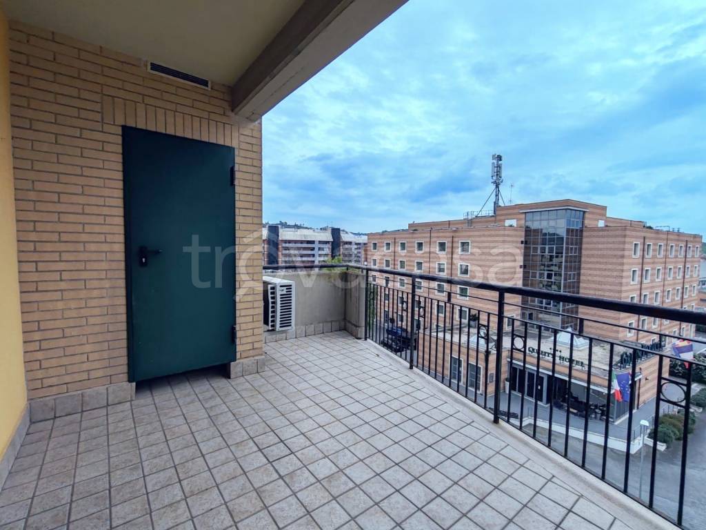 immagine annuncio 5 di 12