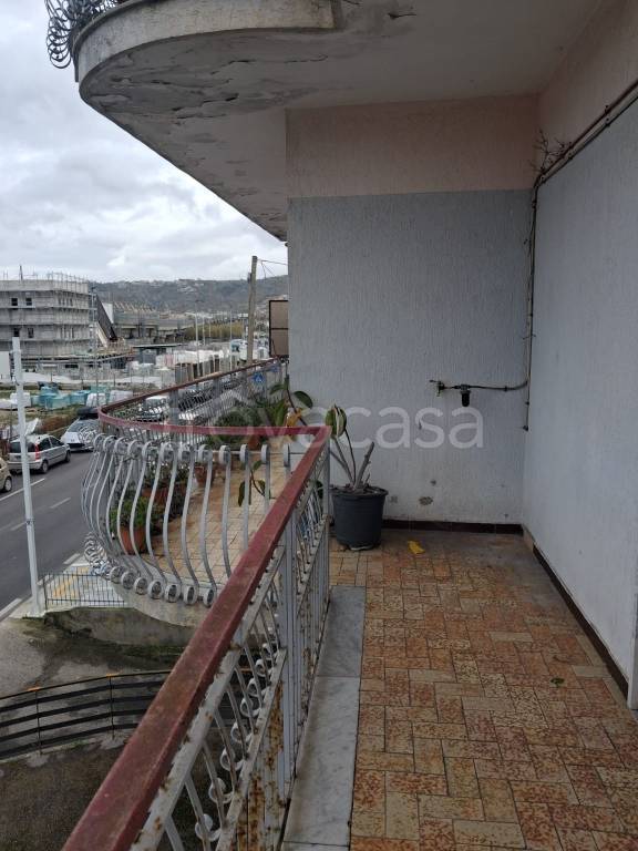 immagine annuncio 12 di 13